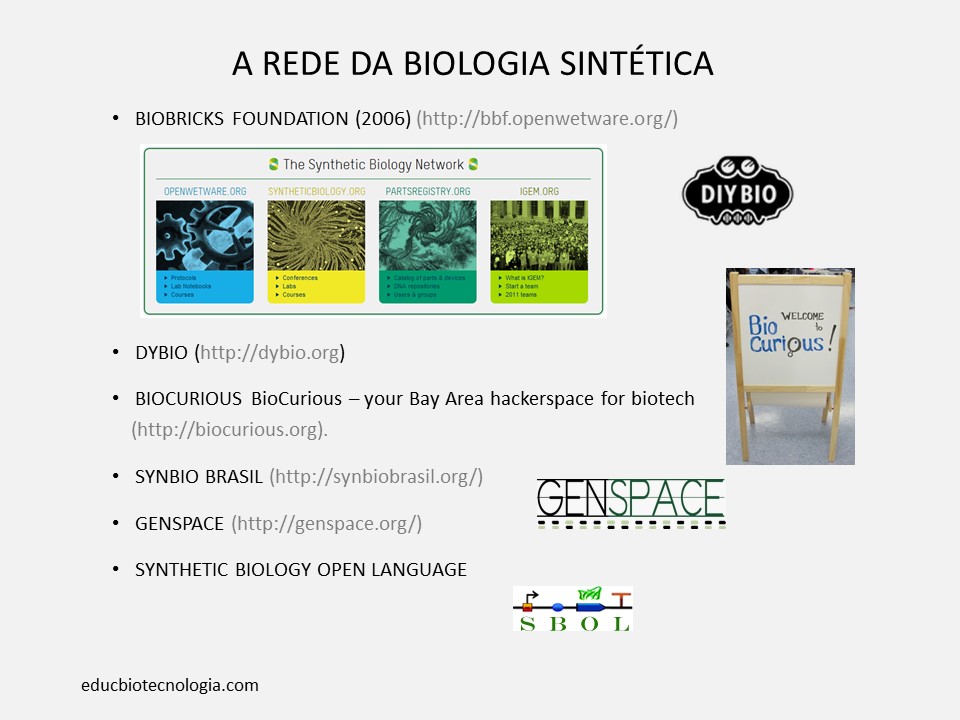 A rede de organizações pioneiras na Biologia sintética