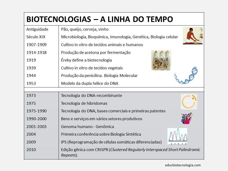 15. A linha do tempo (resumo)