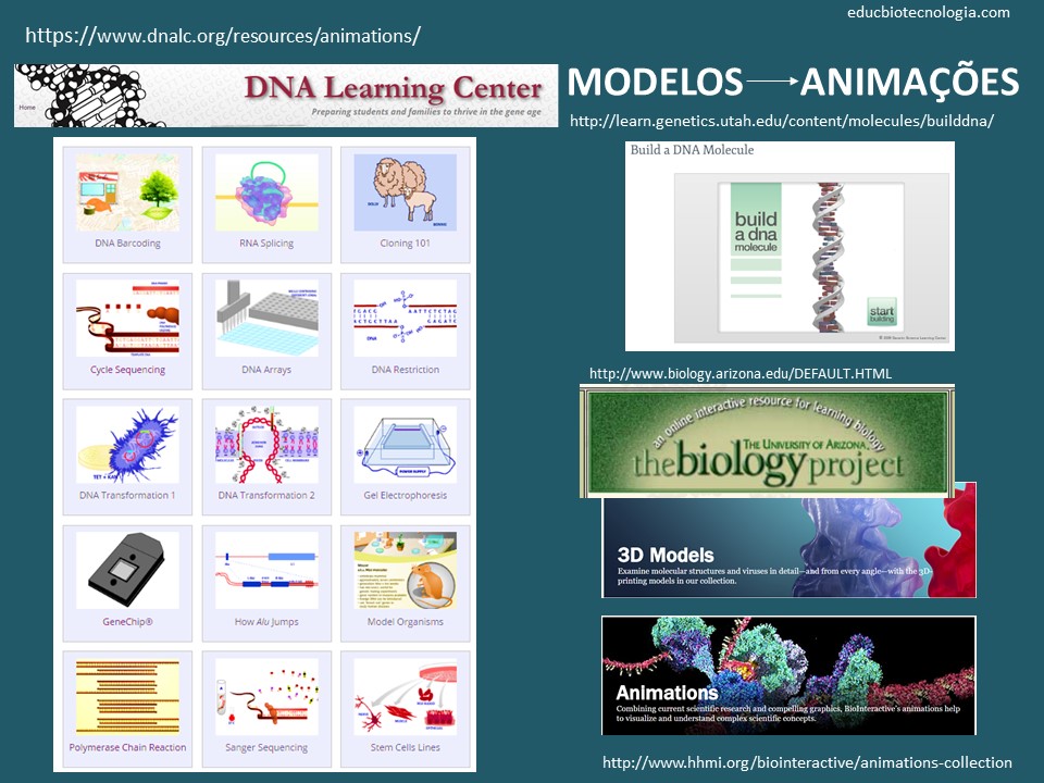 Alguns modelos e animações disponíveis