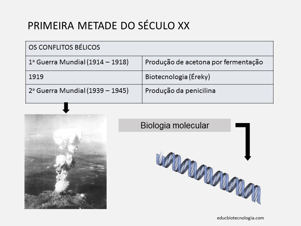 4. O início do século XX - primeira metade