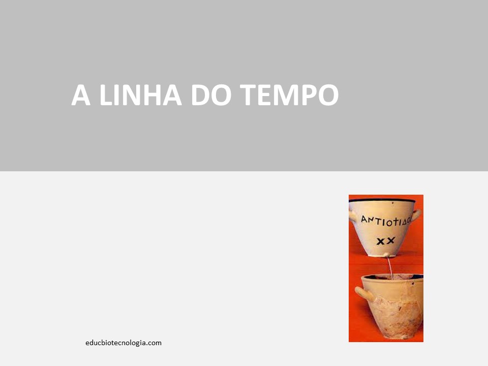 1. A linha do tempo - apresentação