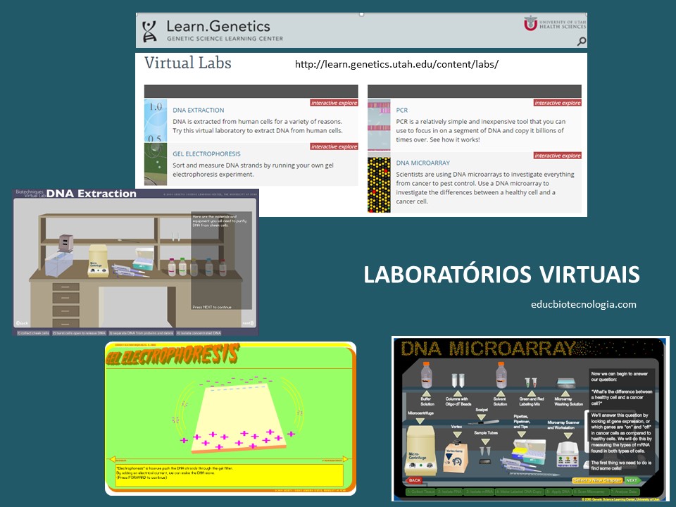 O laboratório virtual como recurso educativo