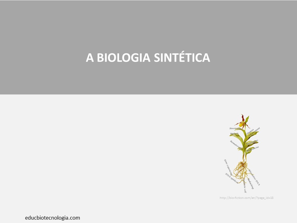 Apresentação de slides sobre Biologia sintética