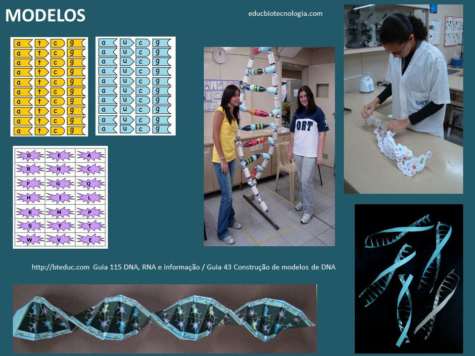 Construção de modelos