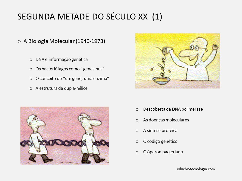 5. Segunda metade do século XX - a biologia molecular