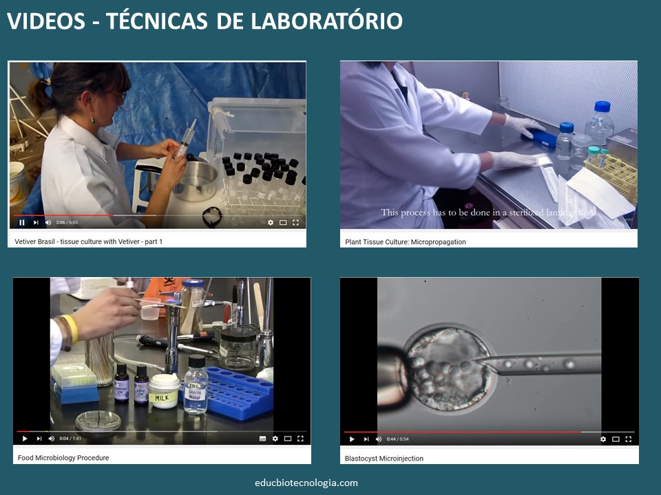 O auxilio dos videos no treinamento de técnicas de laboratório
