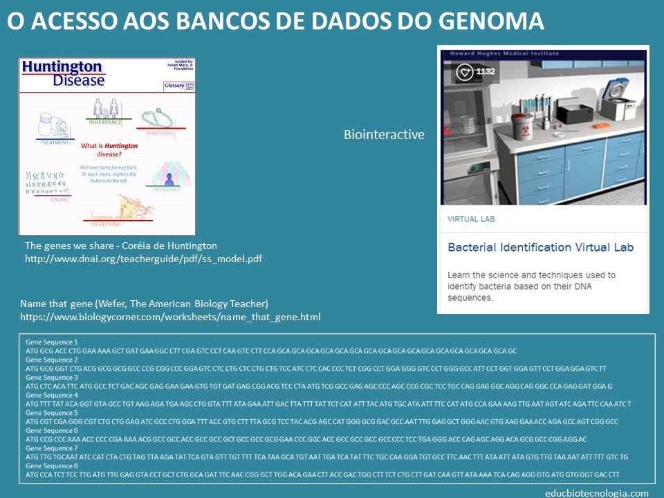 O acesso aos dados do genoma como recurso educativo