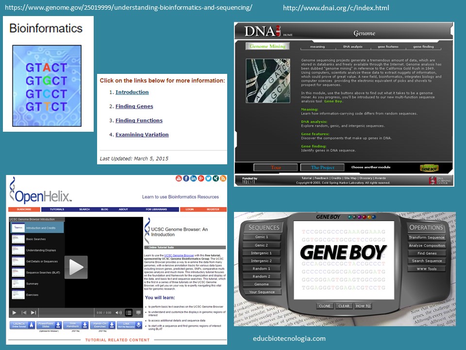 Bioinformática como recurso educativo