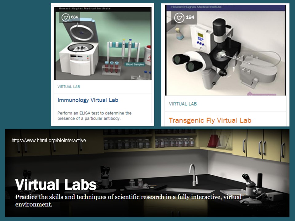 Laboratórios virtuais como recurso educativo